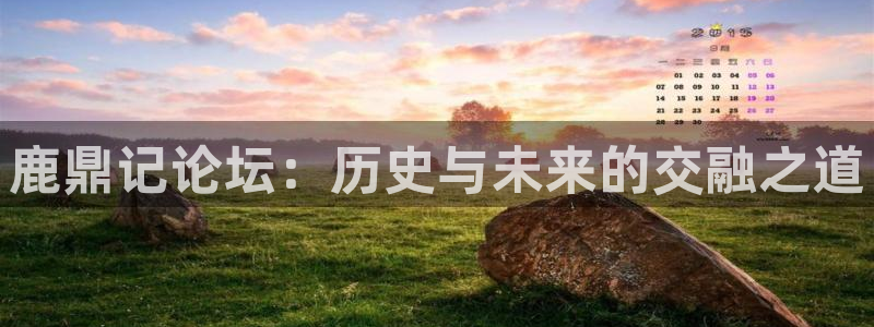 鹿鼎记论坛：历史与未来的交融之道